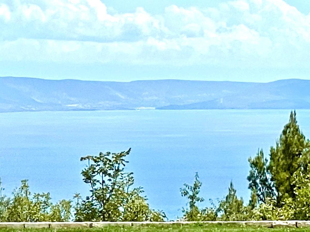 Luxury Panorama Vila With Amazing Seaview In Gondolici 7 Km From Rabac Labin  Bagian luar foto