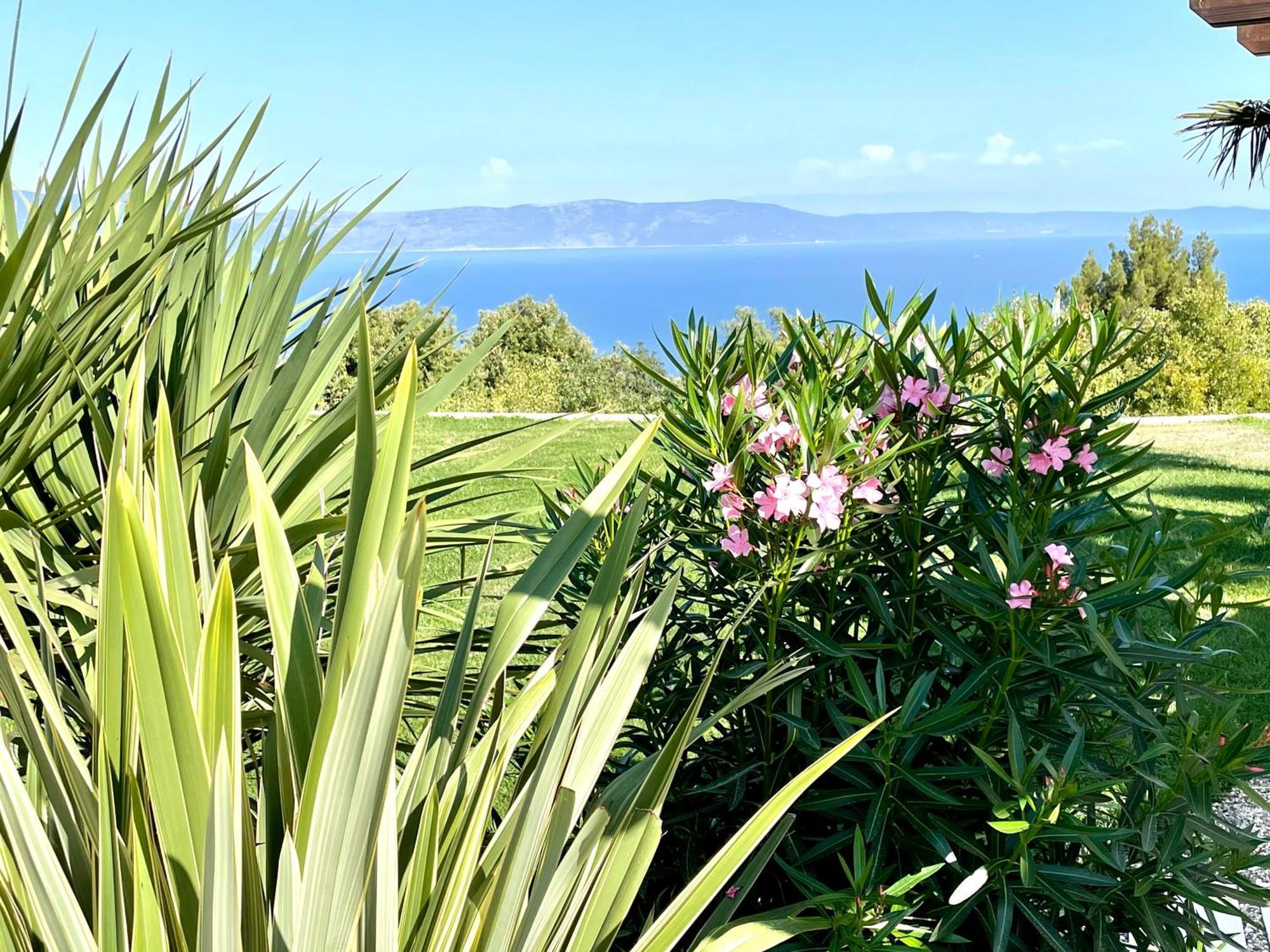 Luxury Panorama Vila With Amazing Seaview In Gondolici 7 Km From Rabac Labin  Bagian luar foto